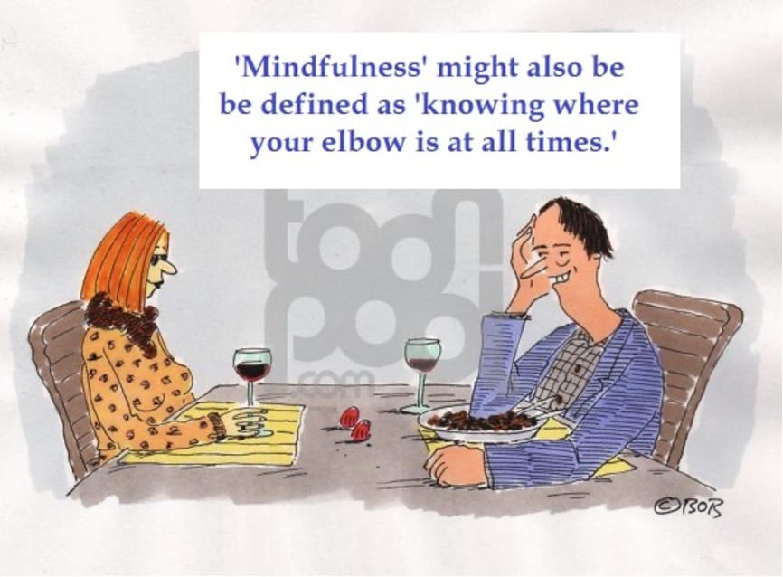 Mindfulness - exemplo explicativo com humor